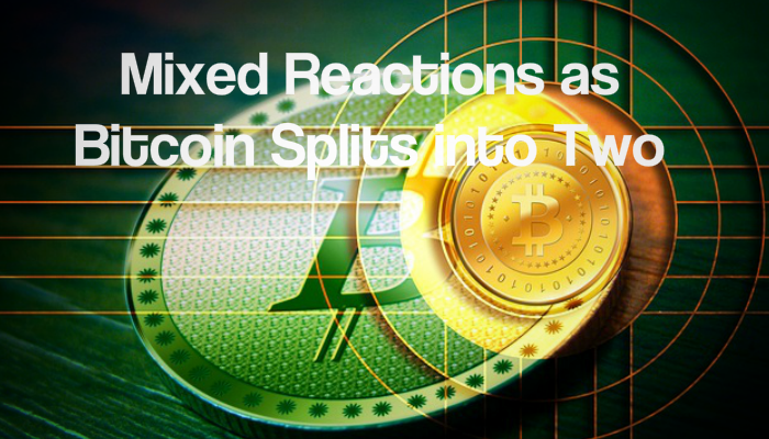 Mixed Reactions as Bitcoin Splits into Two
