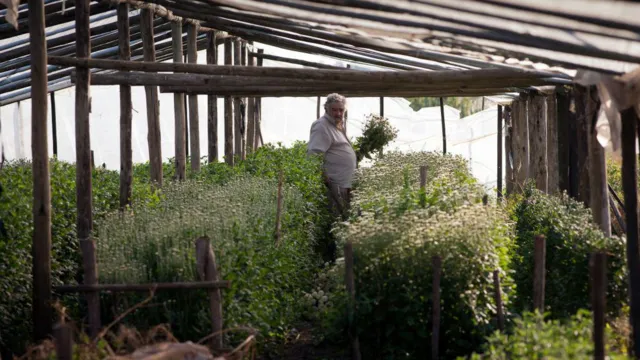 Mujica will be remembered for the simple lifestyle he adopted in and out of politics
